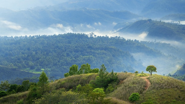 Neblina nas montanhas pela manhã