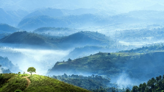 Neblina nas montanhas pela manhã