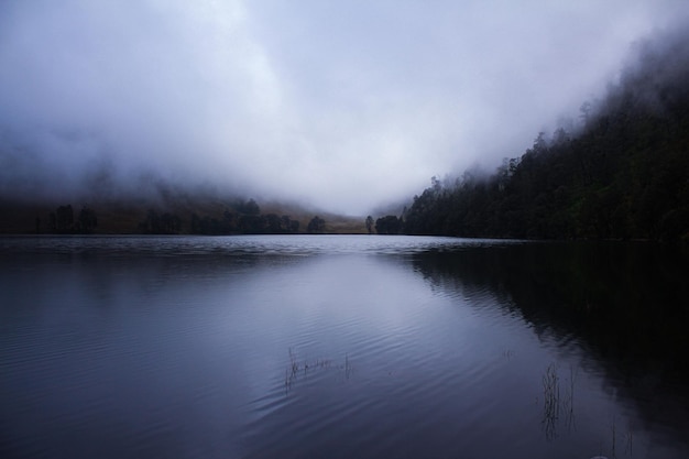 Neblina no lago pela manhã