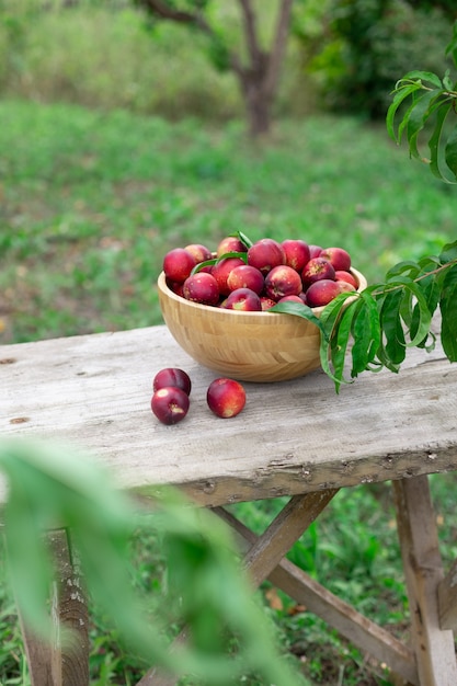 Nectarinas jugosas maduras en un recipiente de madera sobre una mesa de madera antigua en un jardín de nectarinas