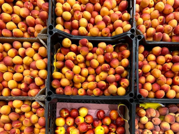 nectarinas maduras em caixas