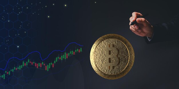 Negociar moedas de criptografia de moeda Bitcoin Exchanges Investir ações do Metaverse