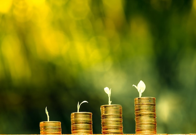 Negócios e finanças conceito Poupar dinheiro para se preparar no futuro árvore crescendo em moeda de empilhamento de moedas de ouro com fundo bokeh verde xA
