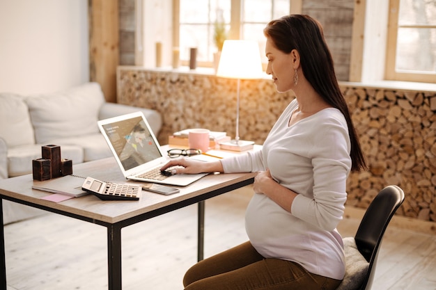 Negocios en todas partes. Bonita mujer embarazada usando laptop mientras posa de perfil y trabaja en casa