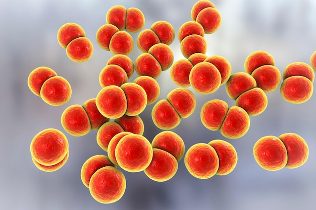 Neisseria gonorhoeae Bacteria gramnegativa que causa la infección de transmisión sexual gonorrea Ilustración en 3D