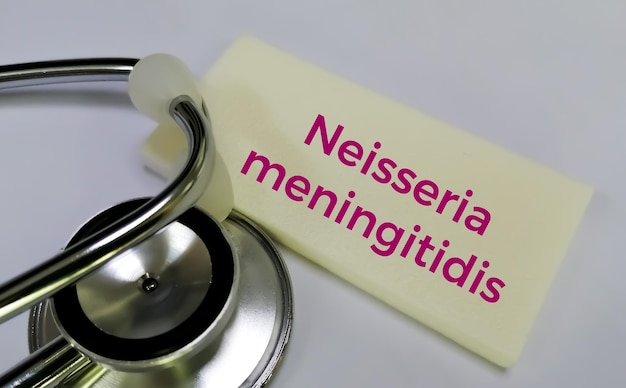 Neisseria meningitidis Begriff isoliert mit Stethoskop.