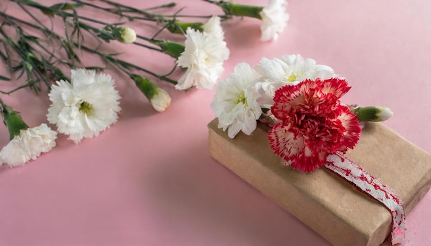 Nelken und Gänseblümchen minimales Konzept mit trendigem rosa Hintergrund Naturliebe Frühlingskonzept