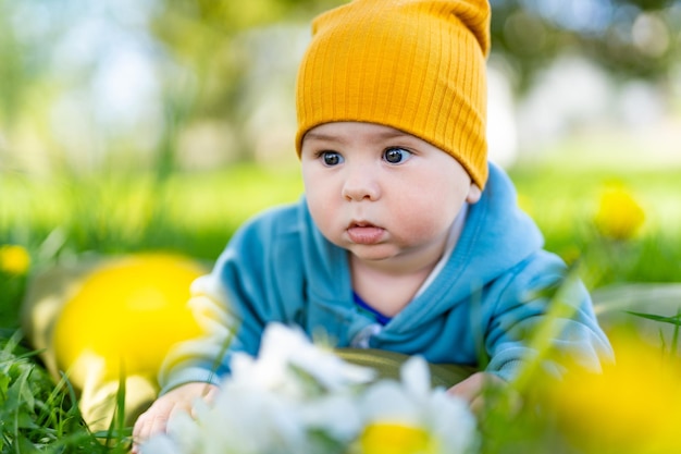 nene, en, el, diente de león, pradera, niño, en, campo