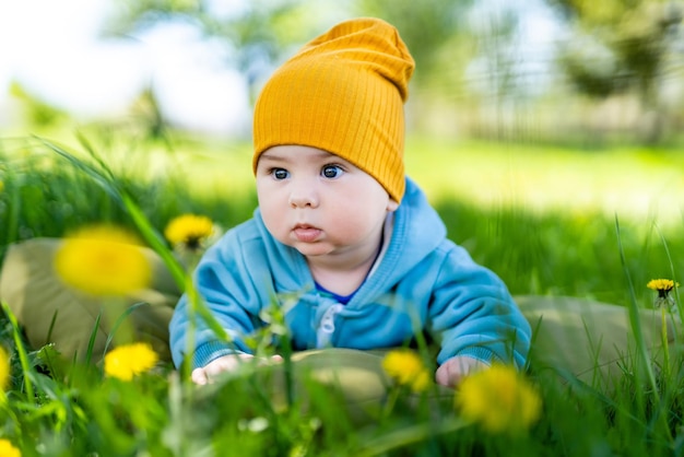 nene, en, el, parque, niño, en, el, diente de león, pradera