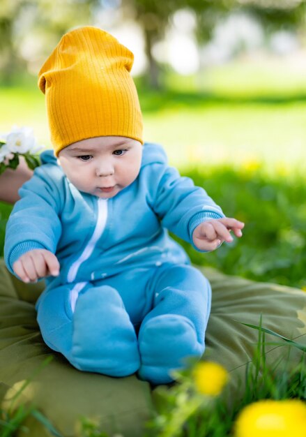 nene, en, el, parque, niño, en, el, diente de león, pradera