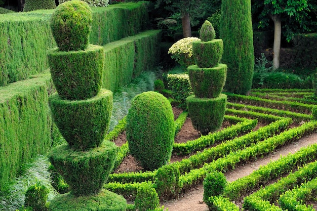 Foto nenhum homem cenário musgo ao ar livre natureza árvore planta grama dia floresta de água coberta