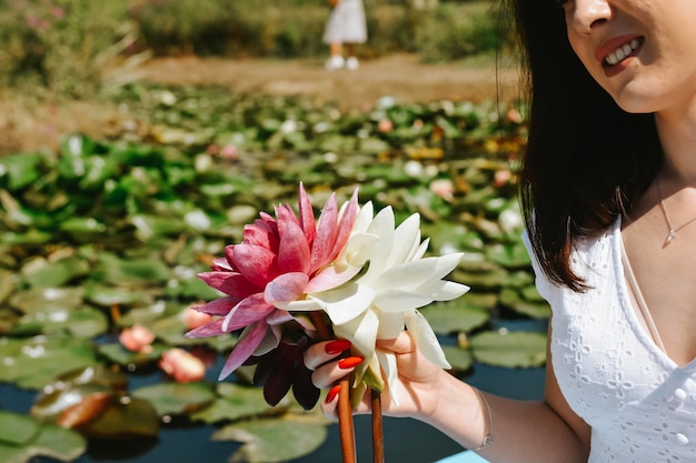 nenúfar en el jardín