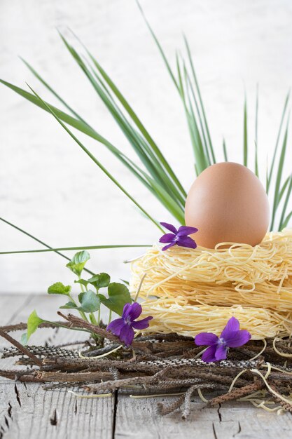 Foto nest der rohen teigwaren mit ei