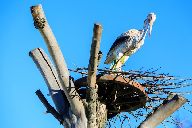 Nest eines künstlichen Storchs