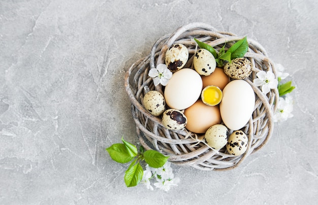 Nest mit hühner- und wachteleiern