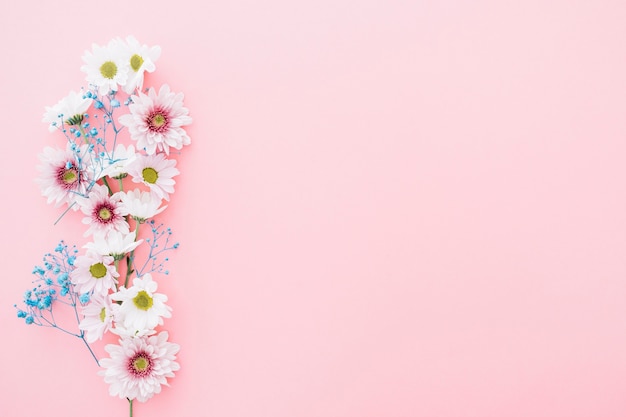 Foto nette blumen auf rosa hintergrund mit platz auf der rechten seite