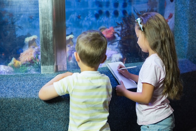 Nette Geschwister, die Aquarium betrachten