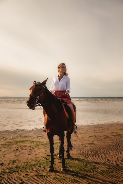 Nette glückliche junge Frau zu Pferd im Sommerstrand auf dem Seeweg. Reiterfrau fährt ihr Pferd in der Natur am Abendlichthintergrund. Konzept des Reitens, des Sports und der Erholung im Freien. Platz kopieren