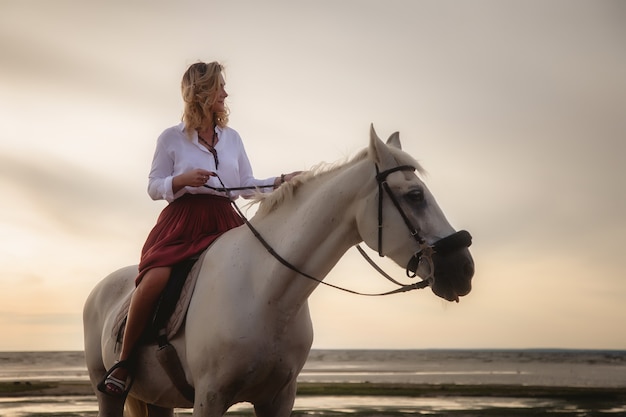 Nette glückliche junge Frau zu Pferd im Sommerstrand auf dem Seeweg. Reiterfrau fährt ihr Pferd in der Natur am Abendlichthintergrund. Konzept des Reitens, des Sports und der Erholung im Freien. Platz kopieren