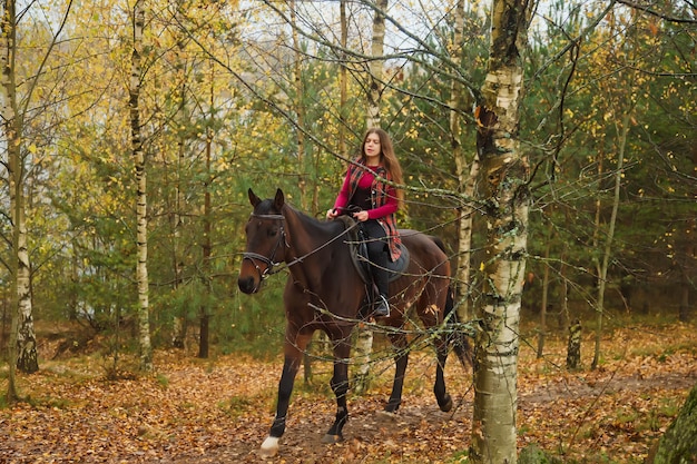 Nette junge Frau zu Pferd im herbstlichen Wald auf der Landstraße. Reiterfrau fährt ihr Pferd im Park bei schlechtem bewölktem Wetter mit Regen. Konzept des Reitens, des Sports und der Erholung im Freien. Platz kopieren