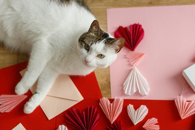 Nette Katze, die an den roten und rosafarbenen Herzen liegt, Geschenkboxumschlag, Schere und Papier auf Holztisch Valentine Urlaub Vorbereitungen Glücklicher Valentinstag Adorable Kitty Helfer Haustier und Liebe
