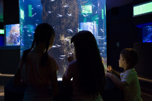 Nette Kinder, die Aquarium betrachten