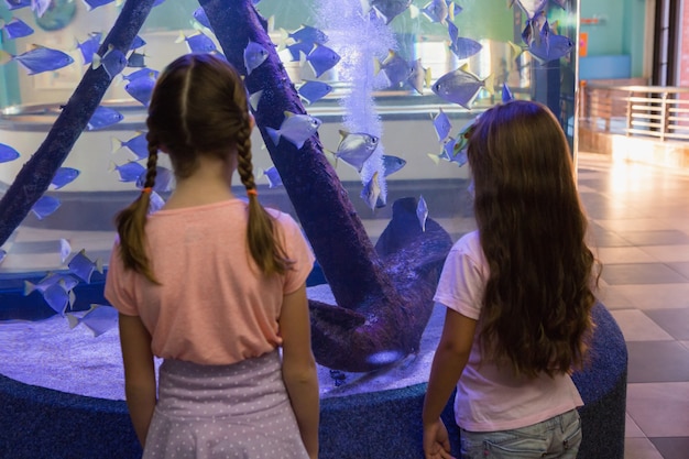 Nette Kinder, die Aquarium betrachten