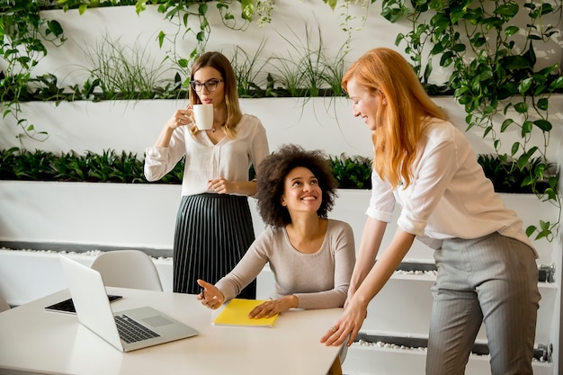 Nette professionelle gemischtrassige Frauen, die im modernen Büro arbeiten