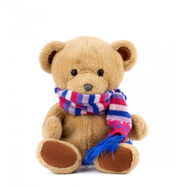 Netter brauner Teddybär in einem farbigen gestrickten Schal, der auf einem weißen Hintergrund sitzt