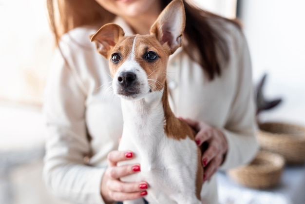 Foto netter hund, der beim sitzen im schoß des besitzers aufwirft