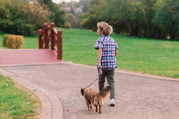 Netter Junge, der mit seinem Hund auf der Wiese spielt und spaziert.