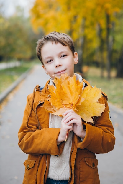 Netter Junge geht und wirft in einem bunten Herbst Park auf