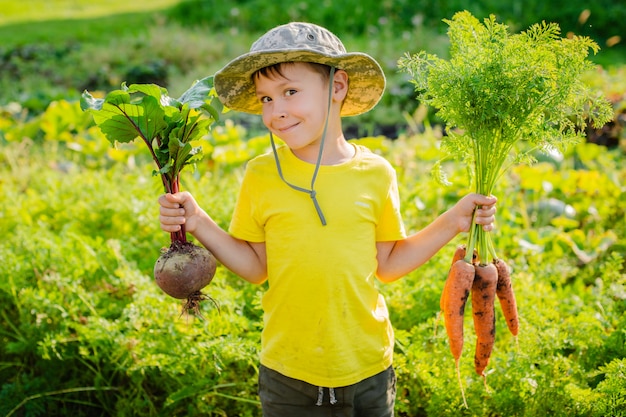 Netter kleiner Junge, der einen Haufen frische organische Karotten und Rüben im heimischen Garten hält