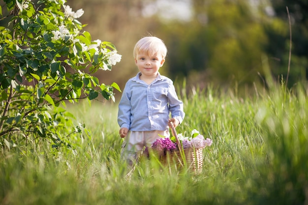 Netter kleiner Junge im Garten mit blühenden Fliederbüschen Lächelnder Junge, der Spaß hat und genießt