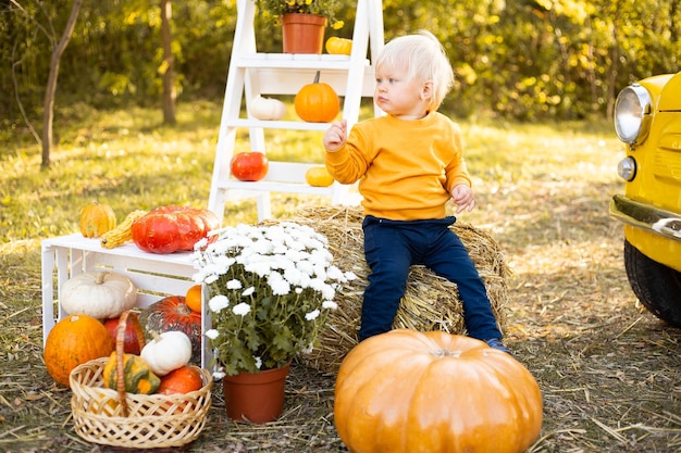 Netter kleiner Junge mit Blumen und Kürbissen im Herbstparkhintergrund mit goldenen Bäumen