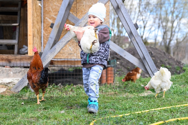 Netter kleiner vierjähriger Junge, der in den Händen ein weißes Huhn in der Natur im Freien auf dem Hintergrund eines Hühnerstalles hält