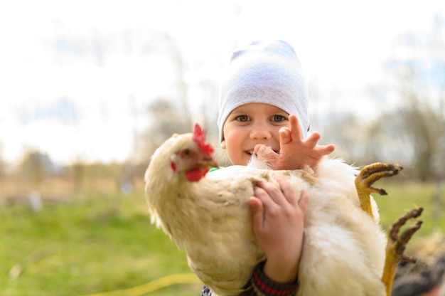 Netter kleiner vierjähriger Junge, der in den Händen ein weißes Huhn in der Natur im Freien hält