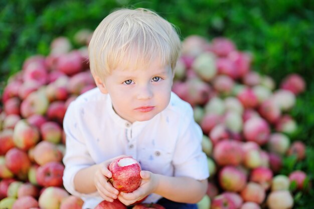 Netter Kleinkindjunge, der auf Haufen von Äpfeln sitzt und reifen Apfel im inländischen Garten isst