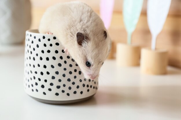 Netter lustiger Hamster in der Tasse auf Tisch