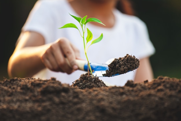 Nettes asiatisches Kindermädchen, das jungen Baum in den schwarzen Boden im Garten pflanzt