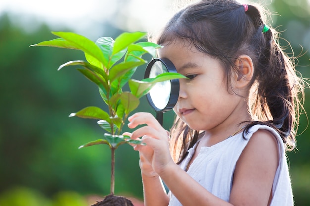 Nettes asiatisches kleines Kindermädchen, das durch ein Vergrößerungsglas auf jungem Baum im Park schaut