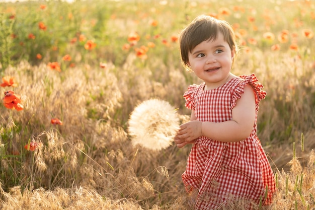 Nettes Baby im roten Kleid, das großen Löwenzahn auf Mohnfeld bei Sommersonnenuntergang hält