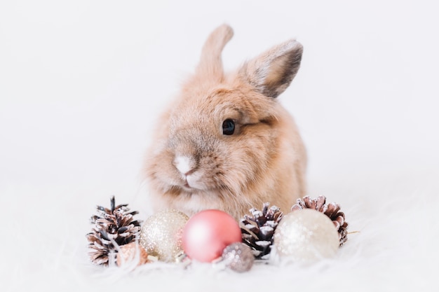 Nettes Kaninchen mit glänzenden Kugeln