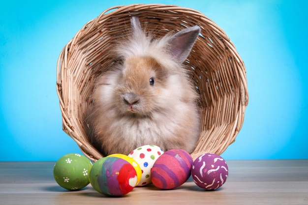 Nettes kleines Kaninchen in einem Korb verziert mit bunten Eiern fröhliche Ostern!