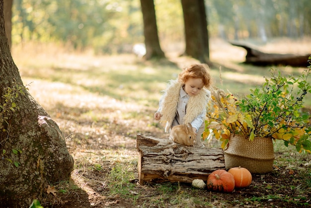 Nettes kleines Mädchen 3 Jahre alt, das mit einem Kaninchen im Herbstwald spielt