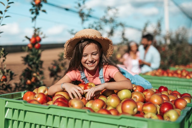 Nettes kleines Mädchen, das beim Pflücken von Äpfeln im Obstgarten genießt. Ihre Eltern sind im Hintergrund.