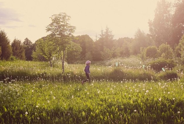 Nettes kleines Mädchen, das im Sommer auf dem Land auf einer Wiese läuft