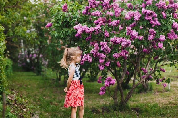 Nettes kleines Mädchen im Kleid, das im Frühlingspark in der Nähe von Flieder lacht Kind riecht Flieder