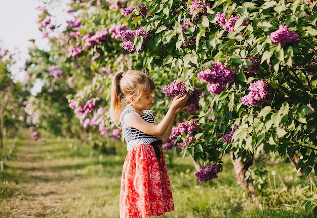 Nettes kleines Mädchen im Kleid, das im Frühlingspark in der Nähe von Flieder lacht Kind riecht Flieder