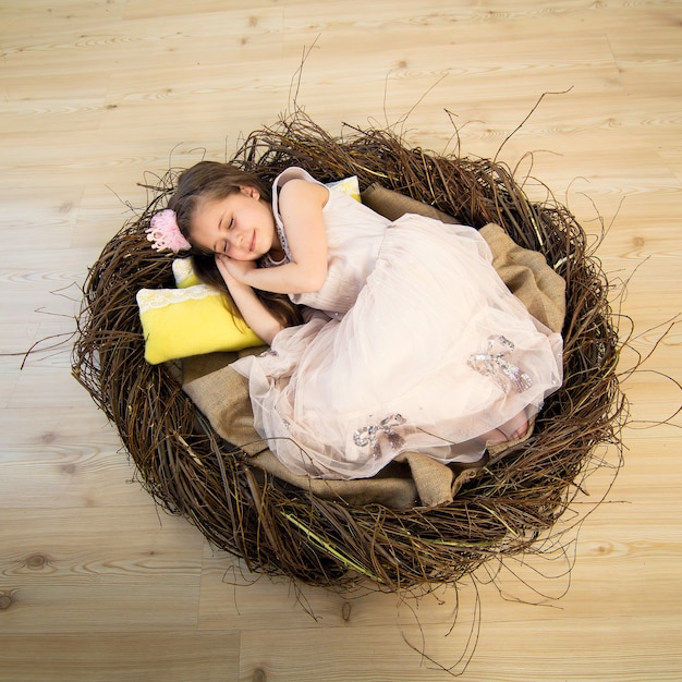 Nettes kleines Mädchen in einem rosa Kleid und einer rosa Krone schläft in einem großen Nest und sieht fabelhafte Träume.